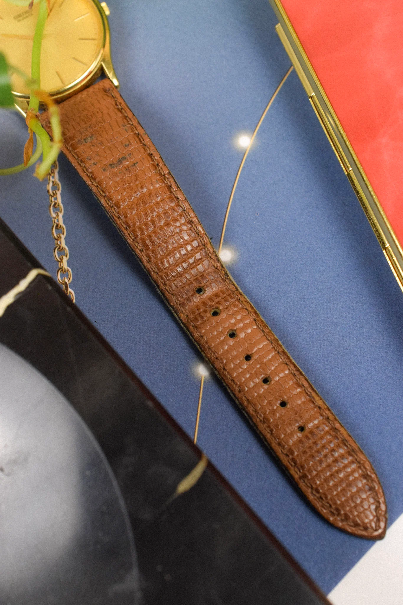 1989 Seiko Golden Sparkle Dial Calatrava - Image 7