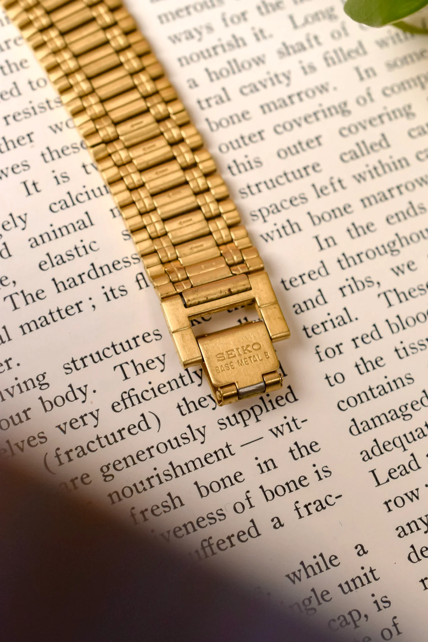 1991 Seiko SX Golden Arabic Numeral Tank - NOS - Image 9