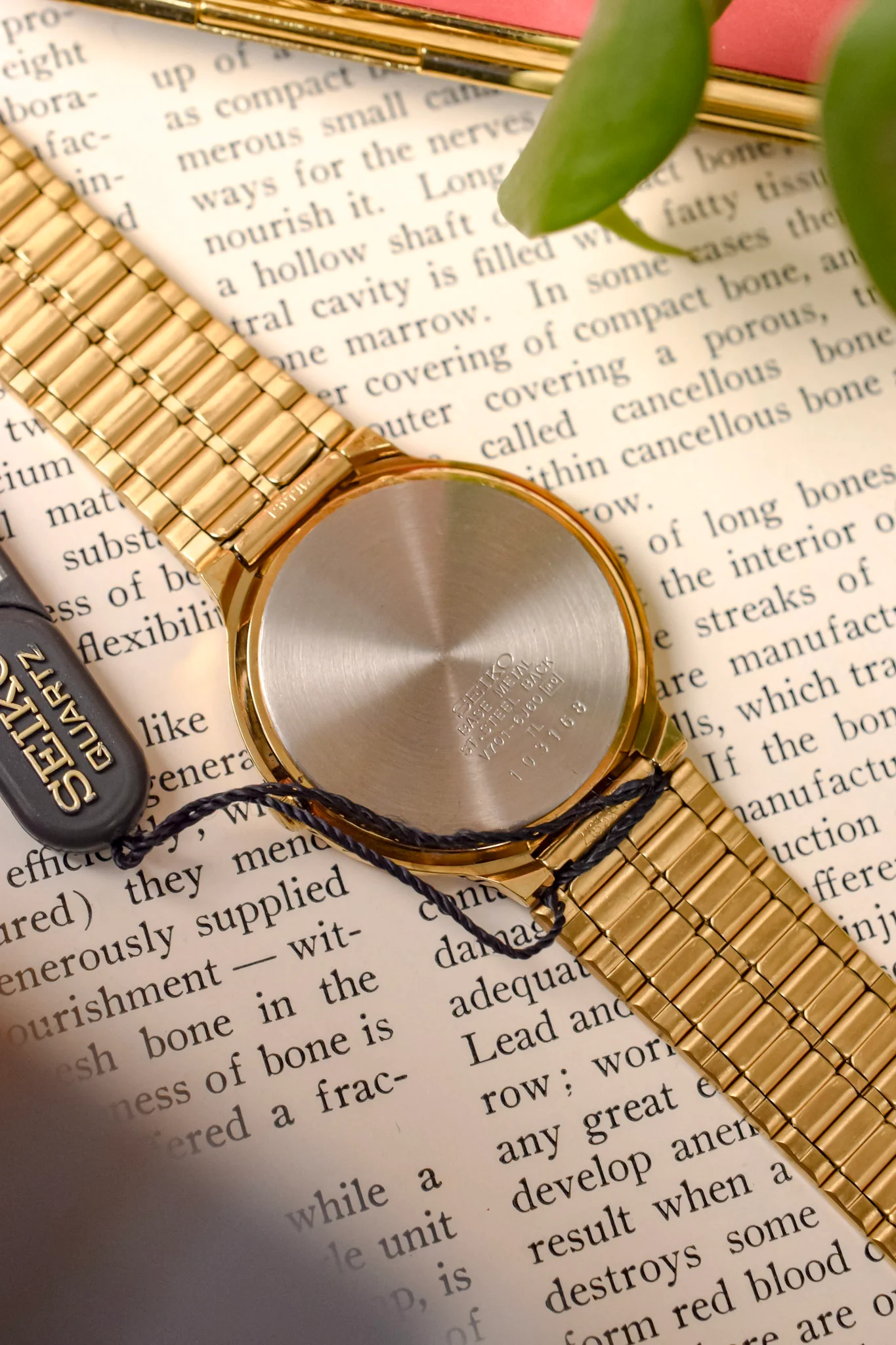 1991 Seiko SX Golden Roman Gilt Sector Dial - NOS - Image 11