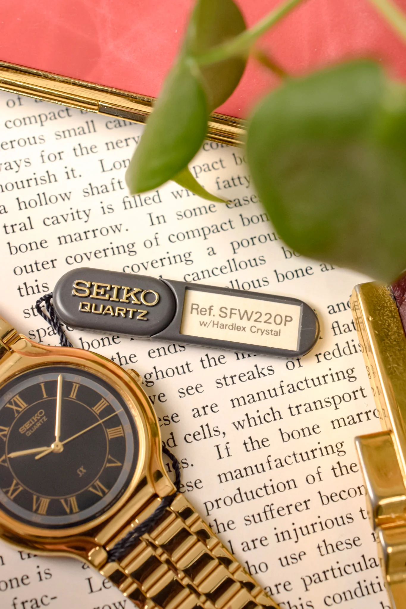 1991 Seiko SX Golden Roman Gilt Sector Dial - NOS - Image 5
