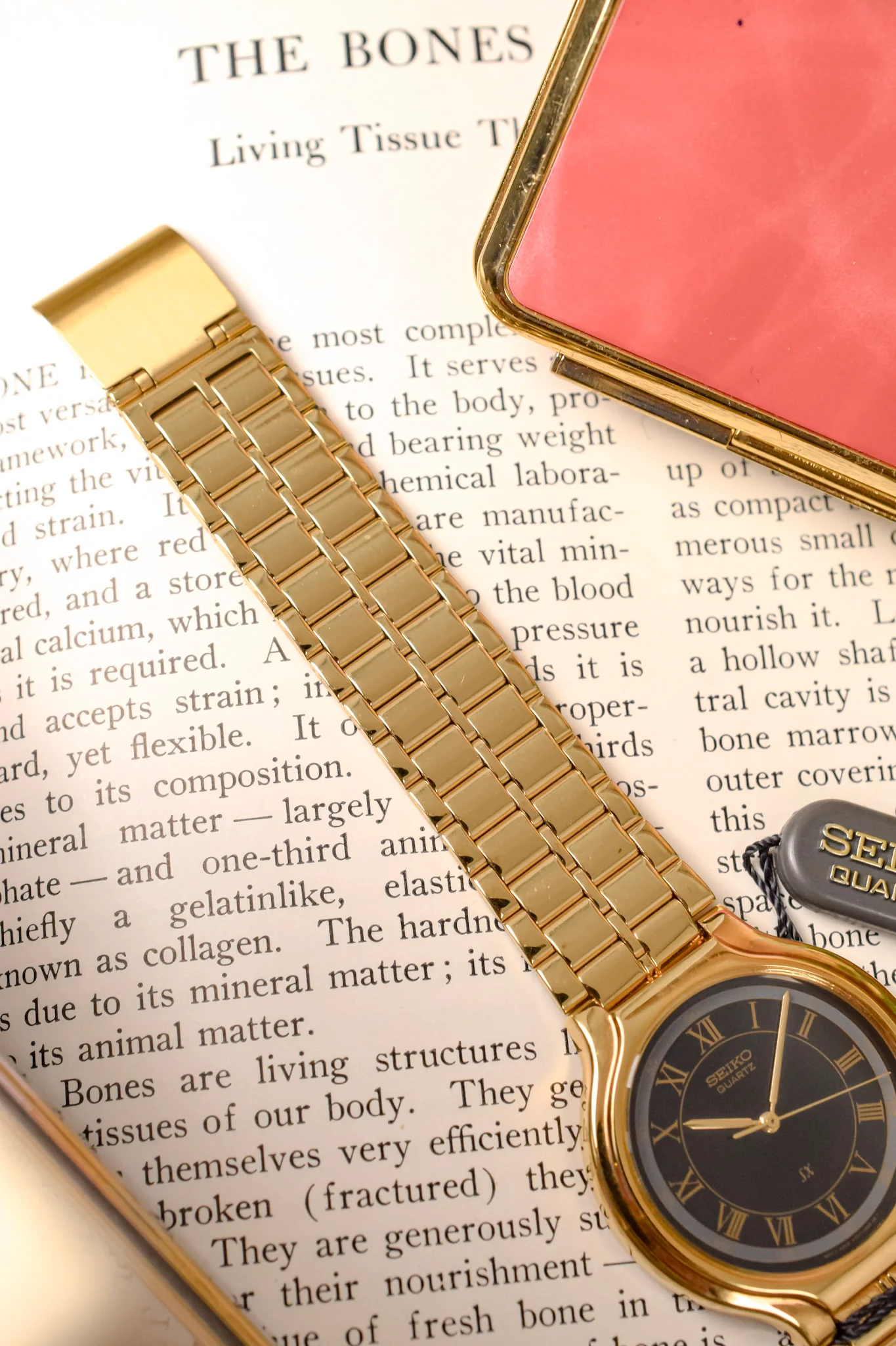 1991 Seiko SX Golden Roman Gilt Sector Dial - NOS - Image 6