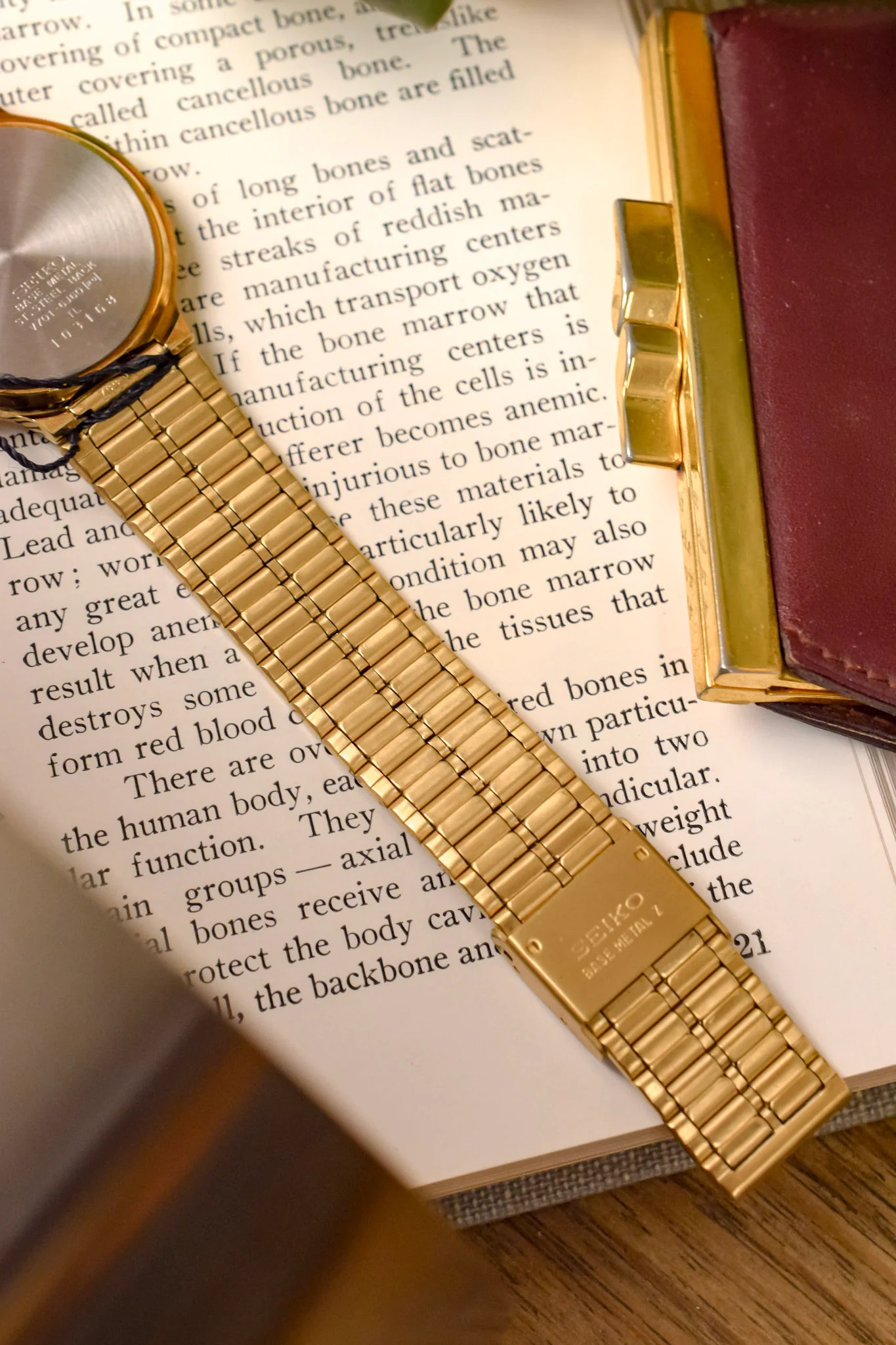 1991 Seiko SX Golden Roman Gilt Sector Dial - NOS - Image 8