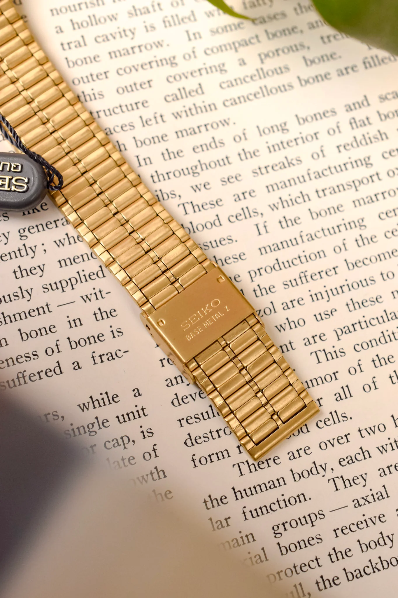 1991 Seiko SX Golden Roman Gilt Sector Dial - NOS - Image 9