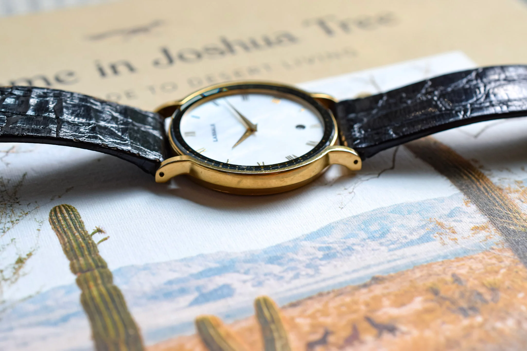 2002 Seiko Lassale Mother of Pearl Roman Dial - Image 4